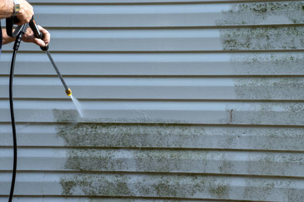 Best Carpet Removal and Disposal  in Gambrills, MD